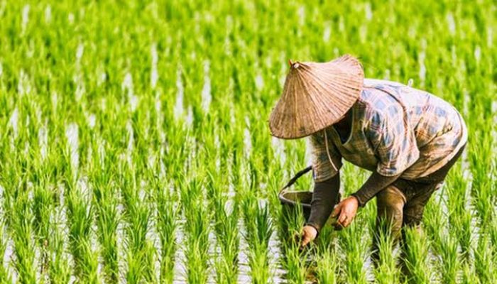 DPRD Berau Soroti Lonjakan Kampung Rawan Pangan, Dorong Solusi Terpadu