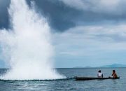 Tekan Ilegal Fishing di Berau, DPRD Dorong Kolaborasi Diskan dan LSM Lokal