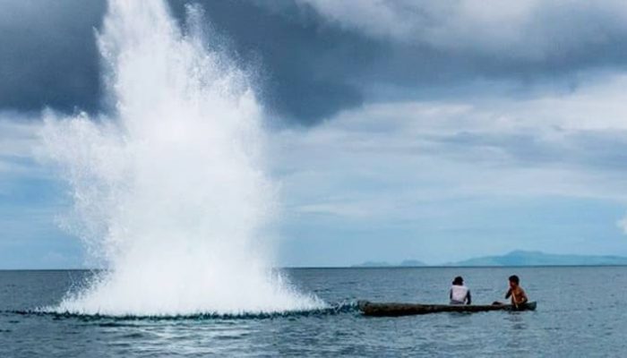 Tekan Ilegal Fishing di Berau, DPRD Dorong Kolaborasi Diskan dan LSM Lokal