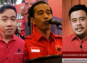 PDIP Pecat Jokowi, Gibran, dan Bobby, Konflik Internal Mengemuka