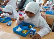 Makan Bergizi Gratis, Kepala BGN Sebut Potensi Serangga Jadi Menu Alternatif