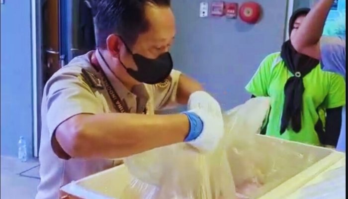 Bandara Kalimarau mengekspor Hasil Laut yang ke-22 kali, Ini Bukti Komuditas Berau Dapat Bersaing Di Pasar Global