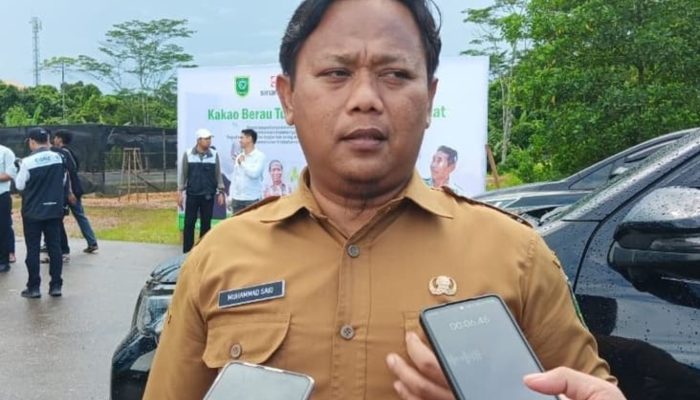 Pemkab Berau Hentikan Perpanjang Kontrak Non-ASN Yang Kurang Dua Tahun