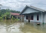 Banjir Parah Rendam Gang Bandara Kalimarau, 11 Rumah Terendam Sejak Pagi