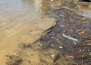 Kesadaran Lingkungan Minim, Sampah di Tepian Teratai Masih Dibuang ke Sungai