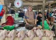 Jelang Ramadhan, Harga Sembako di Pasar SAD Berau Relatif Stabil Meski Ada Kenaikan