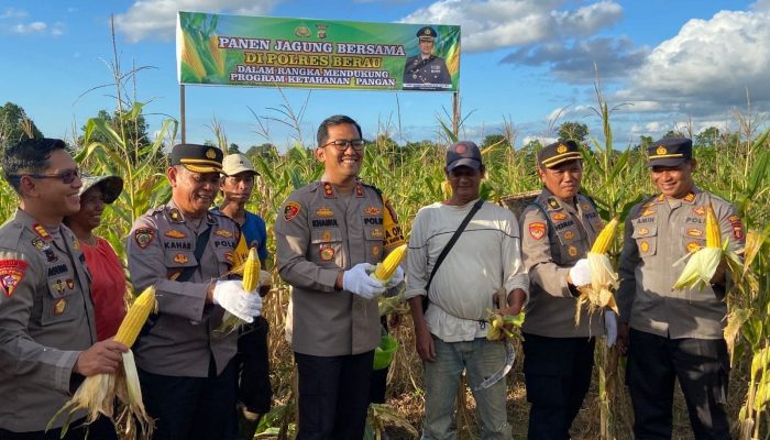 Dukung Ketahanan Pangan, Polres Berau Panen Jagung di Sei Bebanir Bangun