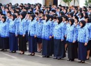 Hingga Kini, 388 Guru Honorer di Kabupaten Berau Belum Menerima Gaji