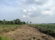 Subroto Dorong Optimalisasi Lahan Tidur untuk Kembangkan Pertanian Berau