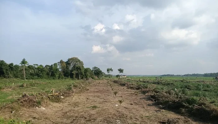Subroto Dorong Optimalisasi Lahan Tidur untuk Kembangkan Pertanian Berau