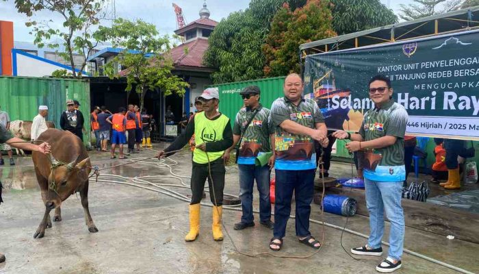 Sambut Iduladha, KUPP Kelas II Tanjung Redeb bersama Mitra Kerja Sembelih 28 Sapi Kurban