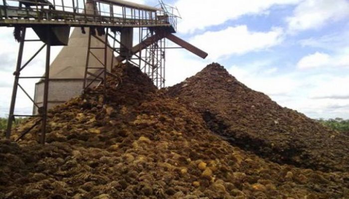 Fasra Wisono: Industri Sawit Wajib Bertanggung Jawab atas Limbahnya